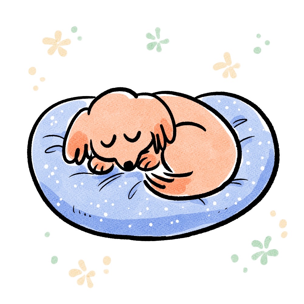 リラックスするわんちゃん